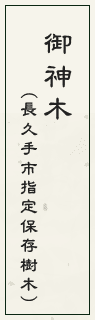 御神木（長久手市指定保存樹木）